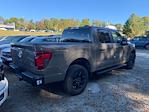 2025 Ford F-150 SuperCrew Cab 4WD Pickup for sale #C18769 - photo 13