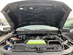 2025 Ford F-150 SuperCrew Cab 4WD Pickup for sale #C31507 - photo 6
