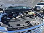 2026 Ford F-350 Crew Cab SRW 4WD Pickup for sale #D25475 - photo 13