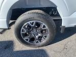 2025 Ford F-150 SuperCrew Cab 4WD Pickup for sale #D30398X - photo 30