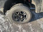 2026 Ford F-250 Crew Cab 4WD Pickup for sale #D33315X - photo 32