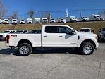 Used 2017 Ford F-250 Platinum Crew Cab for sale #D36072A - photo 10
