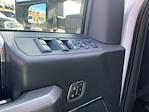 Used 2017 Ford F-250 Platinum Crew Cab for sale #D36072A - photo 23