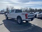 Used 2017 Ford F-250 Platinum Crew Cab for sale #D36072A - photo 2