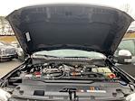New 2026 Ford F-350 Platinum Crew Cab for sale #D43692 - photo 6