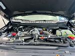 2025 Ford F-250 Crew Cab 4x4 Pickup for sale #D46439 - photo 29