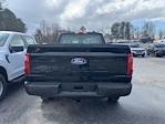 2026 Ford F-150 Regular Cab RWD Pickup for sale #D57039 - photo 15