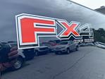 2024 Ford F-350 Crew Cab SRW 4x4 Pickup for sale #D89784 - photo 14