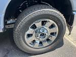 2025 Ford F-250 Crew Cab 4x4 Pickup for sale #D99538 - photo 30