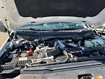 2025 Ford F-350 Crew Cab SRW 4WD Pickup for sale #D99920 - photo 36