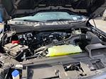 2025 Ford F-150 SuperCrew Cab 4WD Pickup for sale #E18328X - photo 31