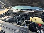 2024 Ford F-250 Crew Cab 4WD Pickup for sale #E43955 - photo 33