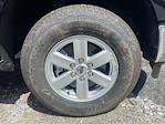 2025 Ford F-150 Regular Cab 4x4 Pickup for sale #E68068 - photo 11