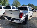 2025 Ford F-150 SuperCrew Cab 4x2 Pickup for sale #E87109 - photo 22