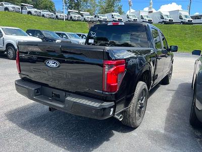 2025 Ford F-150 SuperCrew Cab 4x4 Pickup for sale #E91969 - photo 2