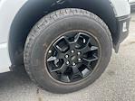 2025 Ford F-150 SuperCrew Cab 4x4 Pickup for sale #E93923 - photo 26
