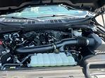 2024 Ford F-150 SuperCrew Cab 4x4 Pickup for sale #F07318B - photo 33