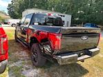 2025 Ford F-150 SuperCrew Cab 4x4 Pickup for sale #F29877 - photo 14