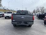 2025 Ford F-150 SuperCrew Cab 4WD Pickup for sale #F37819 - photo 7