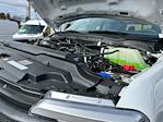 2024 Ford F-250 Crew Cab 4x4 Pickup for sale #F43550 - photo 20