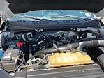 2019 Ford F-150 SuperCrew Cab 4x2 Pickup for sale #F44189A - photo 31