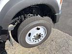 2025 Ford F-550 Regular Cab DRW RWD Dellinger Fabrication LLC Other/Specialty for sale #FH0370 - photo 30