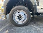 New 2025 Ford F-550 Regular Cab Landscape Dump for sale #FH18002 - photo 18