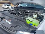 2024 Ford F-350 Regular Cab SRW 4x4 Pickup for sale #FH2910 - photo 28