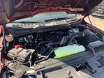 2025 Ford F-150 Regular Cab RWD Pickup for sale #FH3851 - photo 30