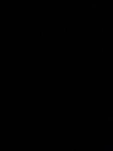 New 2025 Ford E-350 - photo 1