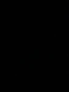 New 2025 Ford E-350 - photo 1