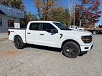 2025 Ford F-150 SuperCrew Cab 4WD Pickup for sale #FH6601X - photo 4