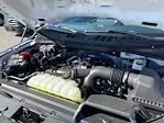 2025 Ford F-150 SuperCrew Cab 4WD Pickup for sale #FH6601X - photo 32