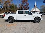 2025 Ford F-150 SuperCrew Cab 4WD Pickup for sale #FH6601X - photo 3