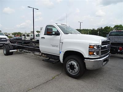 New 2024 Chevrolet Silverado 6500 Work Truck Regular Cab Cab Chassis for sale #24352H - photo 1