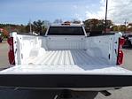 2025 Chevrolet Silverado 3500 Regular Cab 4WD, Pickup for sale #25042H - photo 5