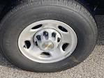 New 2025 Chevrolet Express 3500 Service Utility Van for sale #25136H - photo 10