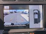 2021 Ford F-350 Crew Cab SRW 4x4 Pickup for sale #L3061B - photo 15