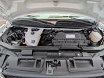 2025 Chevrolet Express 3500 Regular Cab RWD Service Utility Van for sale #L3569 - photo 28