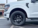 2025 Ford F-150 SuperCrew Cab 4x4 Pickup for sale #FM10015 - photo 3