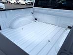 New 2025 Ford F-150 XLT SuperCrew Cab for sale #FM10042 - photo 6
