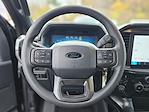 2025 Ford F-150 SuperCrew Cab 4x4 Pickup for sale #FM10099 - photo 24