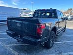 2025 Ford F-150 SuperCrew Cab 4x4 Pickup for sale #FM10162 - photo 30