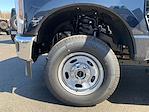 2025 Ford F-250 Regular Cab 4x4 Pickup for sale #FM8658 - photo 4