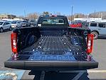 2025 Ford F-250 Regular Cab 4x4 Pickup for sale #FM8658 - photo 6