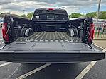 2025 Ford F-150 SuperCrew Cab 4x4 Pickup for sale #FM8759 - photo 15