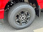 2024 Ford F-350 Regular Cab SRW 4x4 Pickup for sale #FM8887 - photo 32