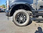 2024 Ford F-250 Crew Cab 4x4 Pickup for sale #FM8915 - photo 4