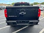 2019 Chevrolet Colorado Crew Cab 4x4 Pickup for sale #FM8930B - photo 4