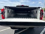 2025 Ford F-350 Crew Cab SRW 4x4 Pickup for sale #FM9015 - photo 13